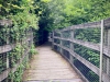 The Dingle Nature Reserve, Llangefni [05/07/2025]