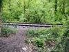 The Dingle Nature Reserve, Llangefni [05/07/2025]