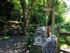 Arnside Knott Walk [25/05/2017]
