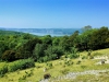 Arnside Knott Walk [25/05/2017]