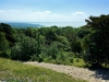 Arnside Knott Walk [25/05/2017]