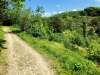 Arnside Knott Walk [25/05/2017]