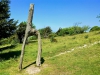 Arnside Knott Walk [25/05/2017]