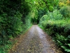 Bala Circular Trail, Bala, Wales