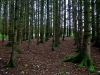 Bala Circular Trail, Bala, Wales