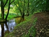 Bala Circular Trail, Bala, Wales