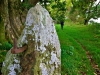 Bala Circular Trail, Bala, Wales