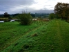 Bala Circular Trail, Bala, Wales