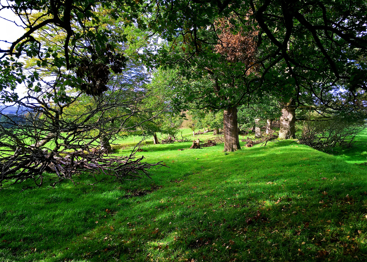 Lover's Walk, Bala