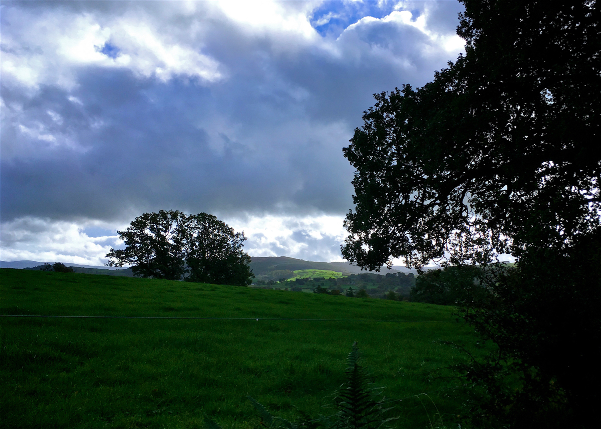 Lover's Walk, Bala, Wales [17/10/2016] - robertpoulson.com