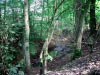 Biddulph Grange Country Park [03/10/2014]