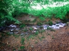 Biddulph Grange Country Park [03/10/2014]