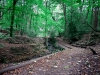 Biddulph Grange Country Park [03/10/2014]