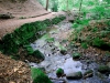 Biddulph Grange Country Park [03/10/2014]