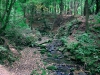 Biddulph Grange Country Park [03/10/2014]