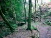 Biddulph Grange Country Park [03/10/2014]