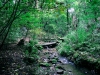 Biddulph Grange Country Park [03/10/2014]