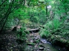 Biddulph Grange Country Park [03/10/2014]