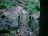 Biddulph Grange Country Park [03/10/2014]