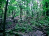 Biddulph Grange Country Park [03/10/2014]