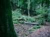 Biddulph Grange Country Park [03/10/2014]