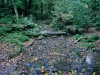 Biddulph Grange Country Park [03/10/2014]