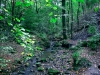 Biddulph Grange Country Park [03/10/2014]