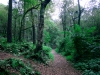 Biddulph Grange Country Park [03/10/2014]