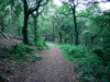 Biddulph Grange Country Park [03/10/2014]