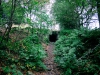 Biddulph Grange Country Park [03/10/2014]