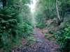 Biddulph Grange Country Park [03/10/2014]