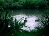 Biddulph Grange Country Park [03/10/2014]