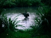 Biddulph Grange Country Park [03/10/2014]