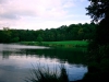 Biddulph Grange Country Park [03/10/2014]