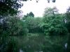 Biddulph Grange Country Park [03/10/2014]