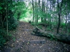 Biddulph Grange Country Park [03/10/2014]