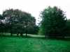 Biddulph Grange Country Park [03/10/2014]