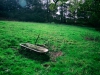 Biddulph Grange Country Park [03/10/2014]