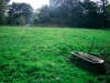 Biddulph Grange Country Park [03/10/2014]