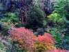 Bodnant Garden, Conwy, Wales