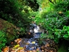 Bodnant Garden, Conwy, Wales