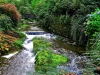 Bodnant Garden, Conwy, Wales