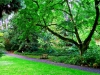 Bodnant Garden, Conwy, Wales