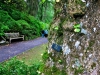 Bodnant Garden, Conwy, Wales