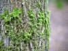 Brereton Heath Local Nature Reserve [02/01/2020]