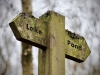 Brereton Heath Local Nature Reserve [02/01/2020]