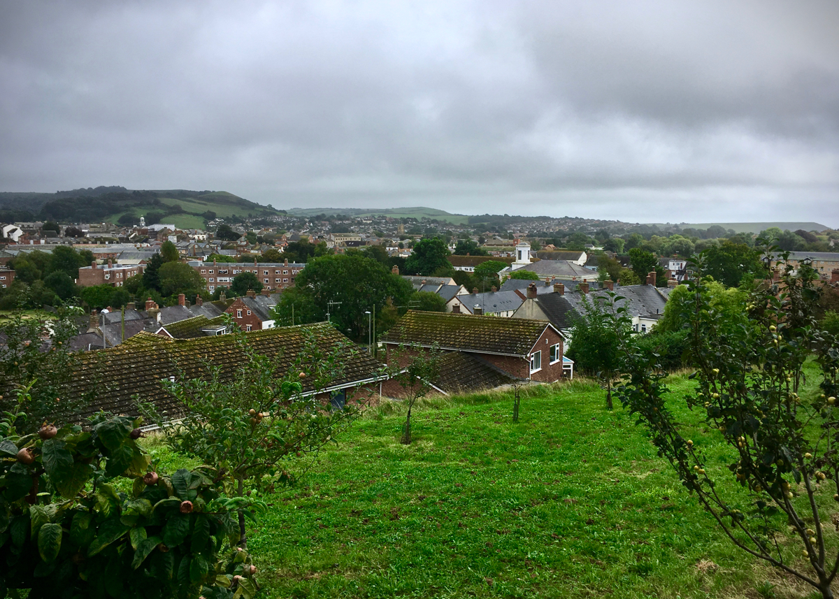 Overlooking Bridport