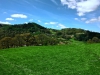 Castell Dinas Bran [23/04/17]