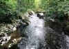 Coed y Brenin Forest, Snowdonia National Park