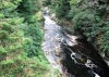 Coed y Brenin Forest, Snowdonia National Park